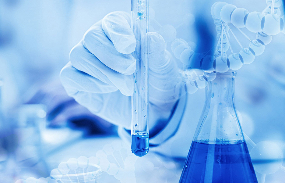 行业竞争格局优化，区域龙头企业加速突围